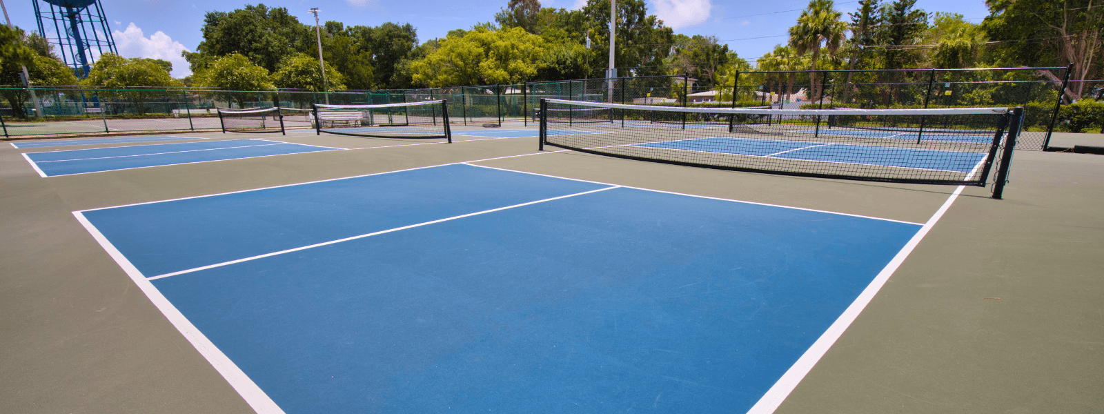 Pickleball: My Journey, My Love, My Equipment, My Attire, My Invitations - OS1st